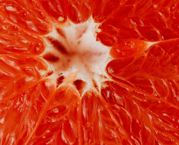 CBD та грейпфрут - взаємодія з ліками