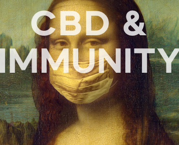 CBD для імунітету — як захиститися під час сезону вірусних інфекцій.